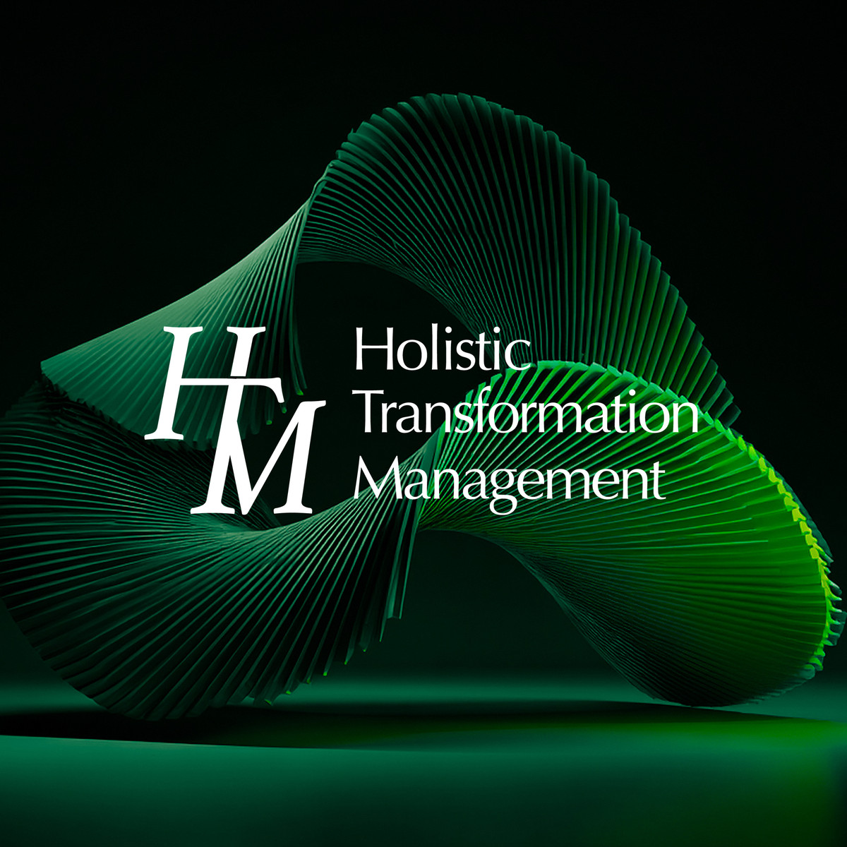 Holistic Transformation Management